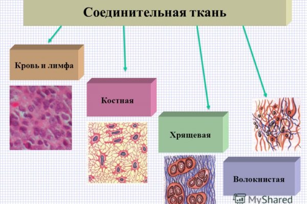 Mega darknet как зайти