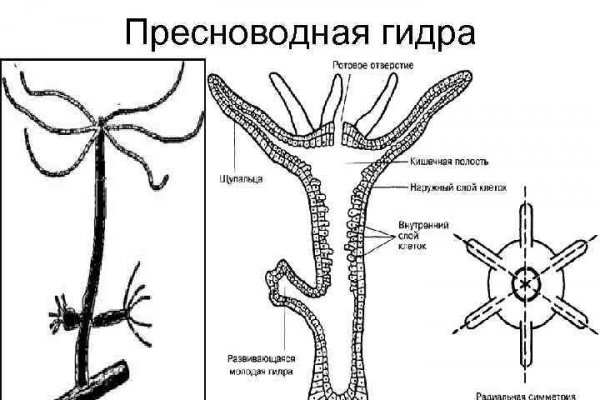 Мега даркнет актуальная ссылка