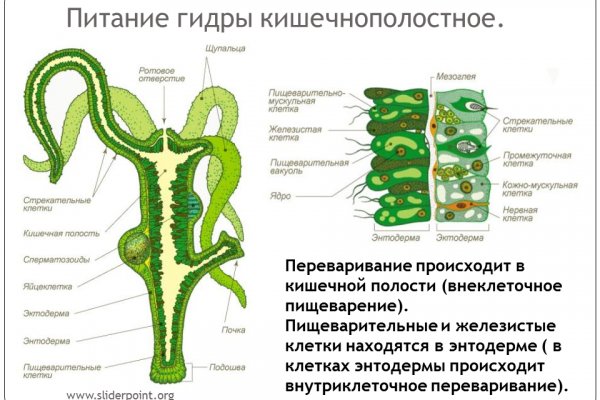 Сайт мега даркнет mega zerkalo